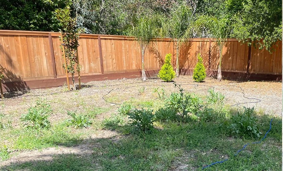 Overgrown Weed Yard to Modern Fire Pit & BBQ Lounge - Before